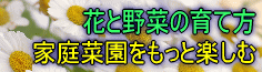 ؂̊Q쏜